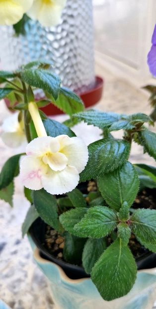  - Santiano Improved R