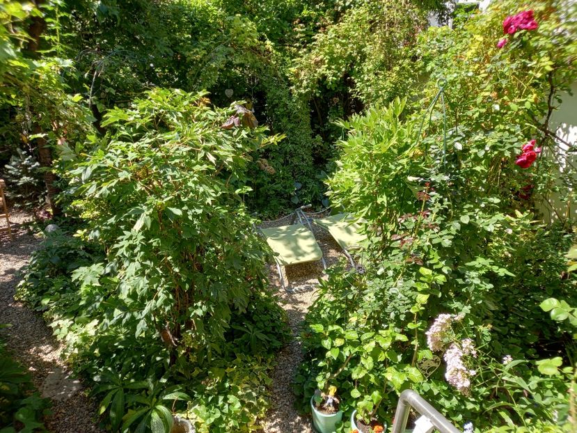  - Grădina 2022 continuare 3