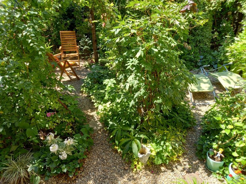  - Grădina 2022 continuare 3