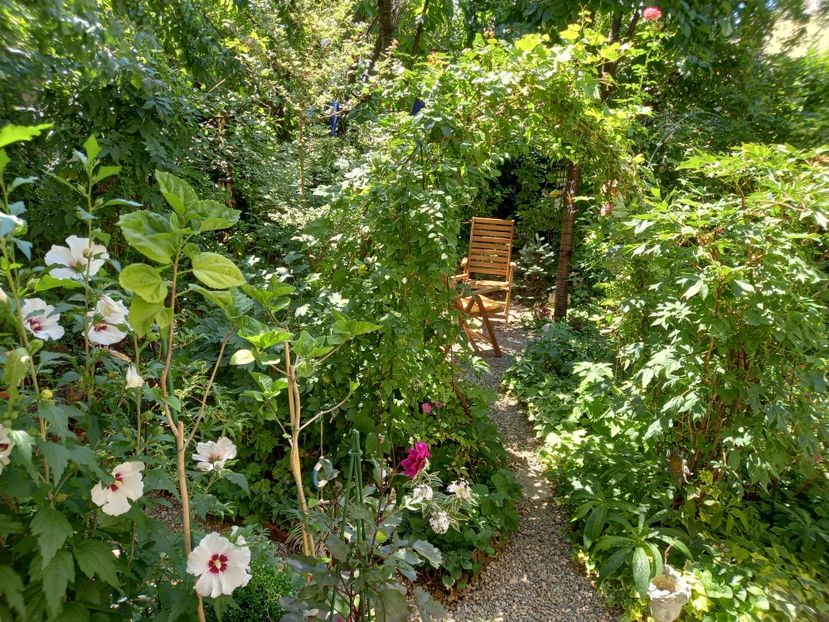  - Grădina 2022 continuare 3