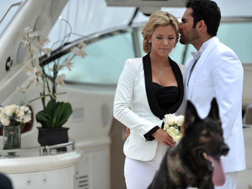 Sammy y Willy - Bodas de telenovelas