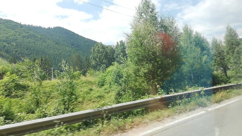 IMG-20220808-WA0007 - MARI