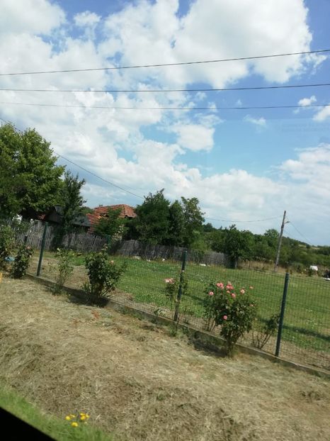 IMG-20220808-WA0022 - MARI