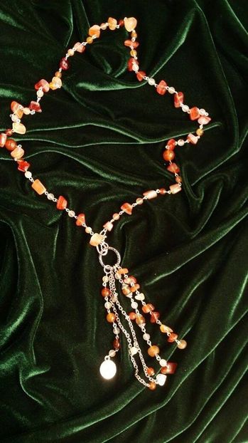 11856453_1132907440056854_5117397034852734448_o - My ZorZon