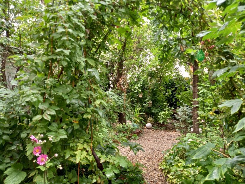  - Grădina 2022 continuare 3