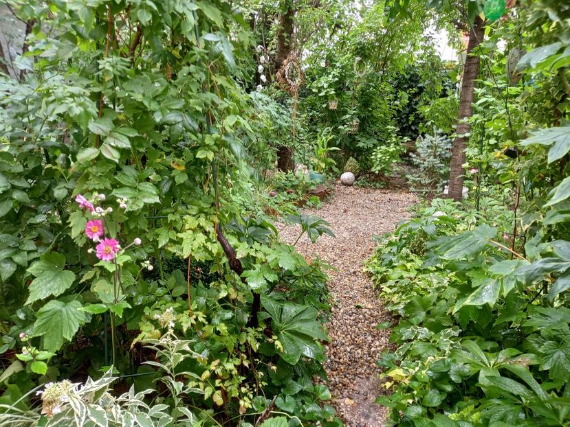  - Grădina 2022 continuare 3