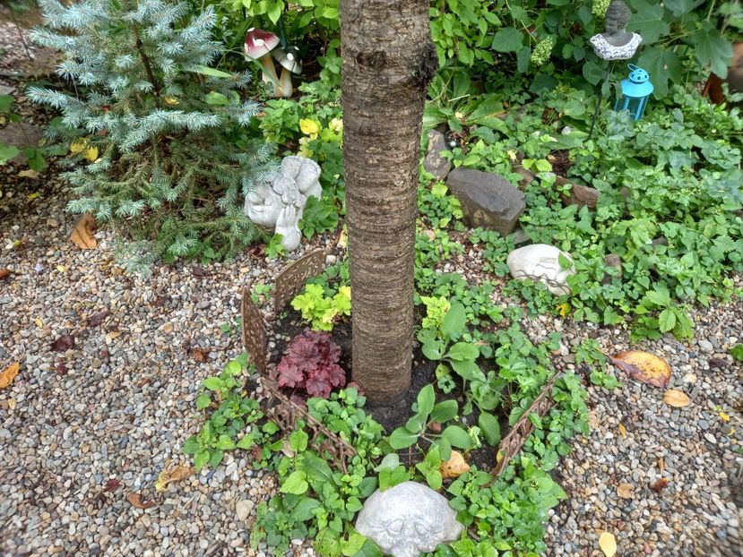  - Grădina 2022 continuare 3