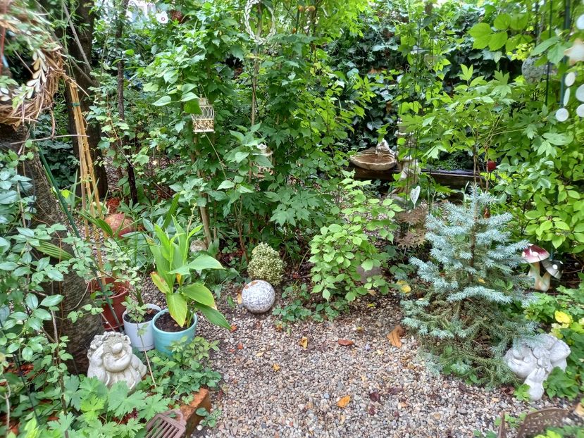  - Grădina 2022 continuare 3