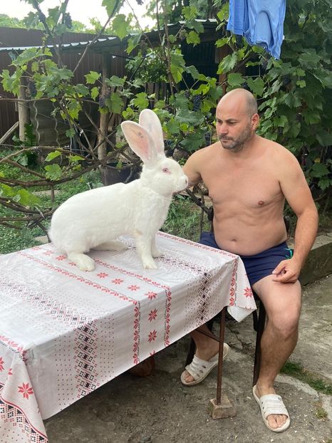 7A77D8FD-E353-4F3D-9997-B9B964AFB119 - RO 8-5111