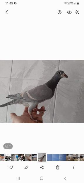  - Nu îmi aparțin 5