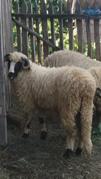 Screenshot_20200826-222816 - Oi 2021