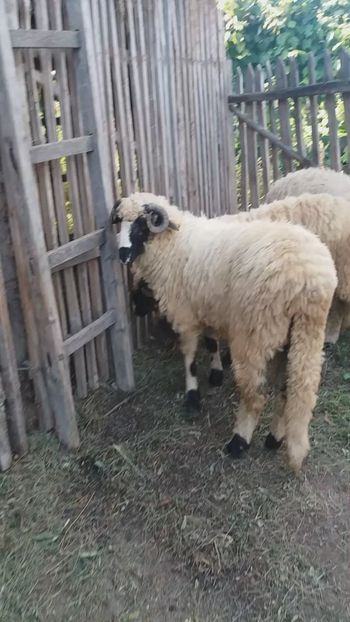 Screenshot_20200826-222540 - Oi 2021