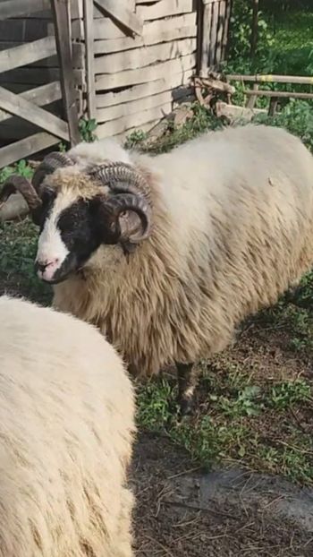 Screenshot_20200825-141434 - Oi 2021