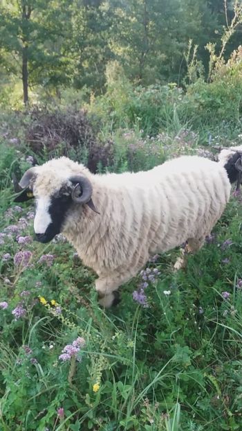 Screenshot_20200809-075650 - Oi 2021