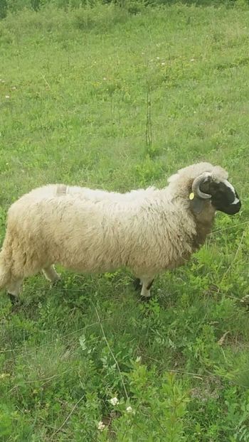 Screenshot_20200606-100707 - Oi 2021