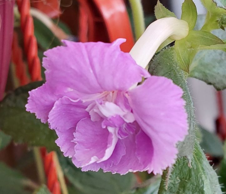 2022 - BRID-S 101-20