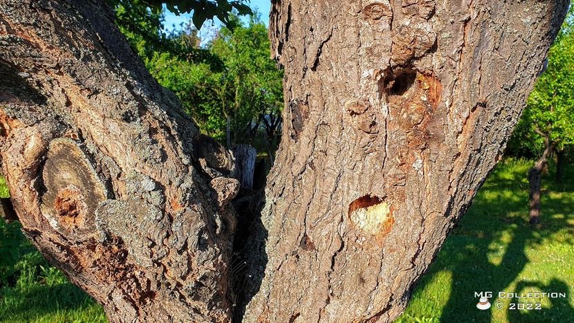 No name 5 - DIVERSE - MISC