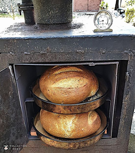 Paine-Bread 1 - MANCARE-BAUTURI - FOOD-DRINKS