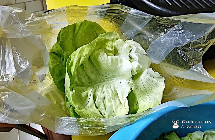 Salata verde - MANCARE-BAUTURI - FOOD-DRINKS