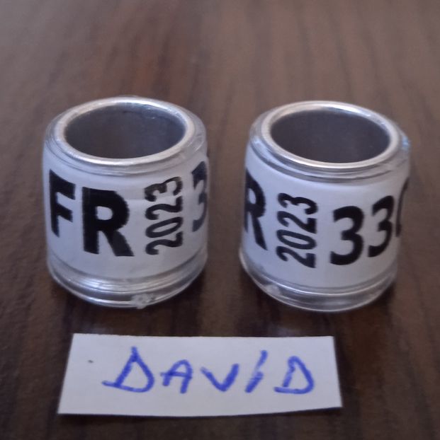 2023-FR -fara talon....-1 leu - Inele 2014