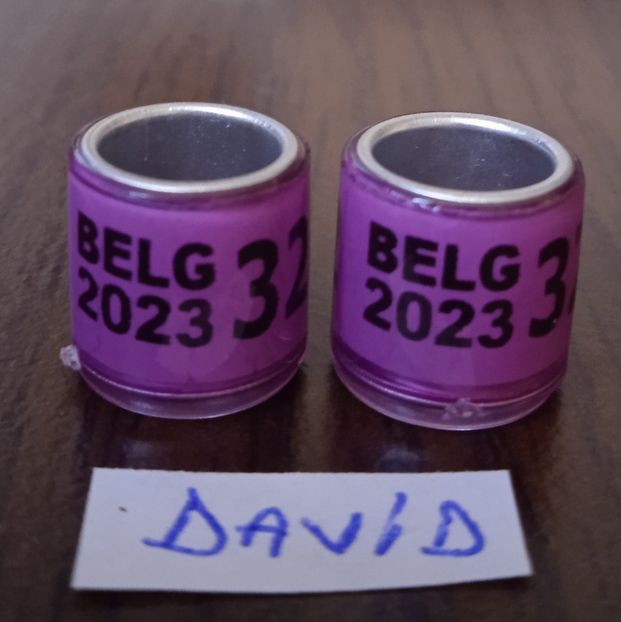 2023-BELG-fara talon....-1 leu - Inele 2014