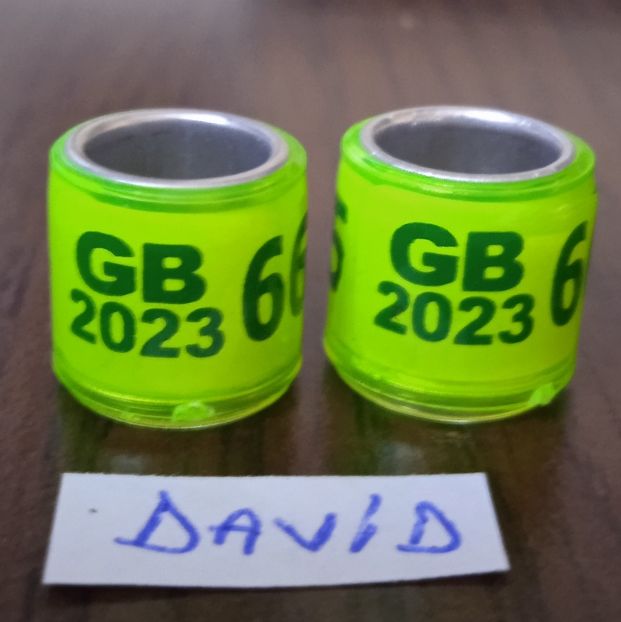 2023-GB-fara talon ...-1 leu - Inele 2014