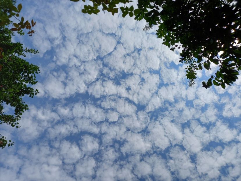  - Grădina 2022 continuare 3