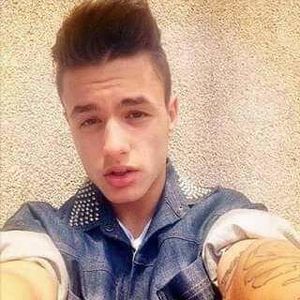  - crushii mei