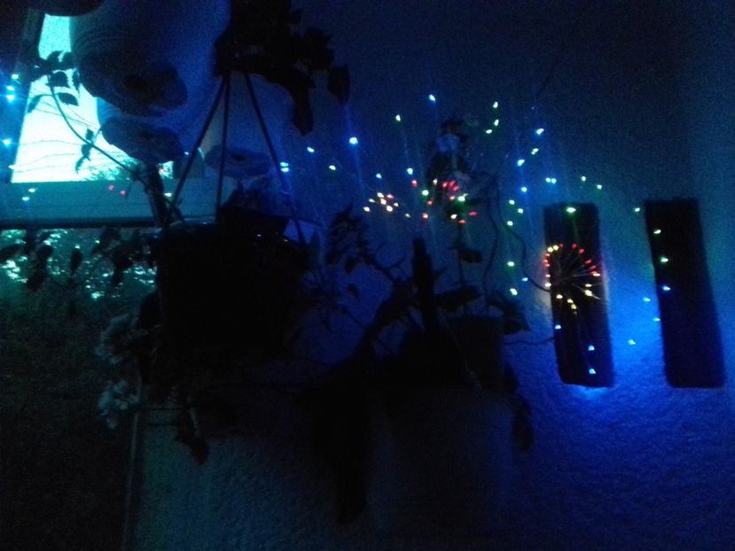  - Linişte şi flori