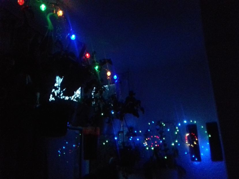  - Linişte şi flori