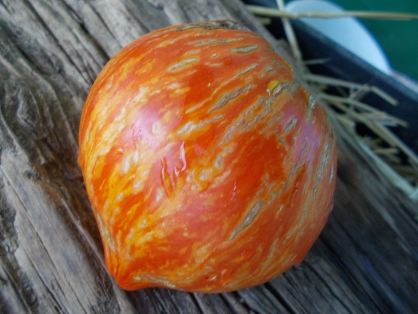  - SEMINTE ROSII - T 864 ARKANSAS MARVEL HEART