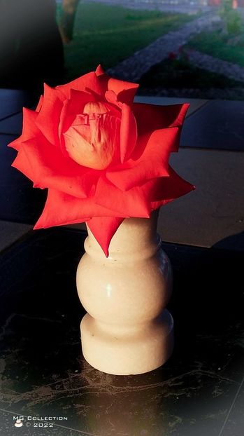 Rose - DECO ART