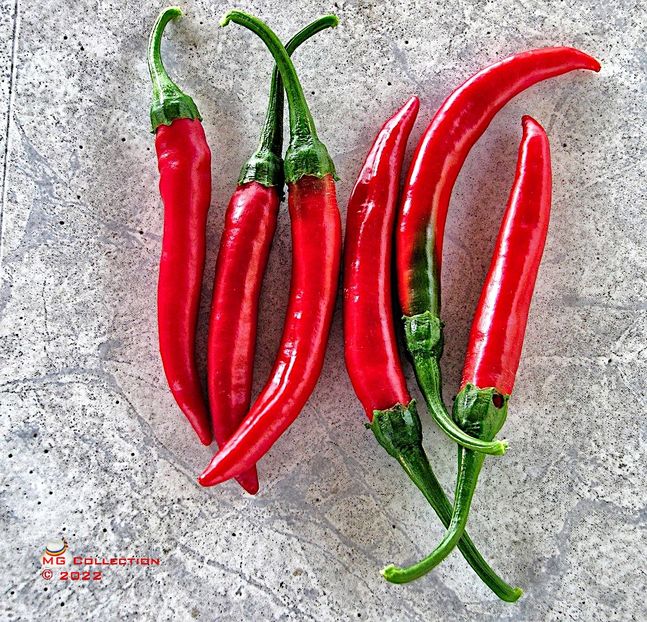 Ardei iuti-Red hot chilly peppers - LEGUME-VEGS