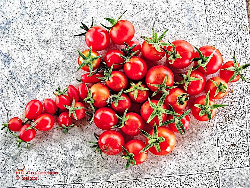 Rosii decor-Tomatos decor - LEGUME-VEGS