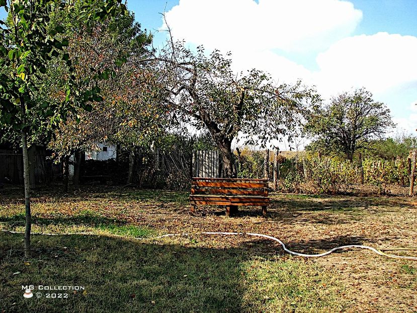 Peisaj de toamna-Autumn landscape - PEISAJE-PARCURI-PARKS-LANDSCAPES