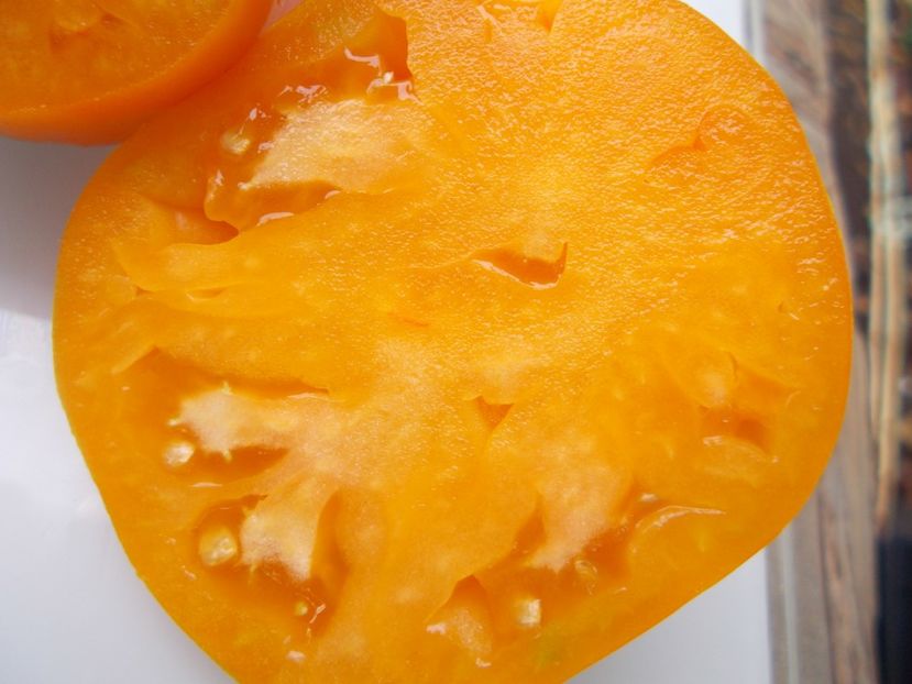  - SEMINTE ROSII - T 918 NIGHT CANDLE