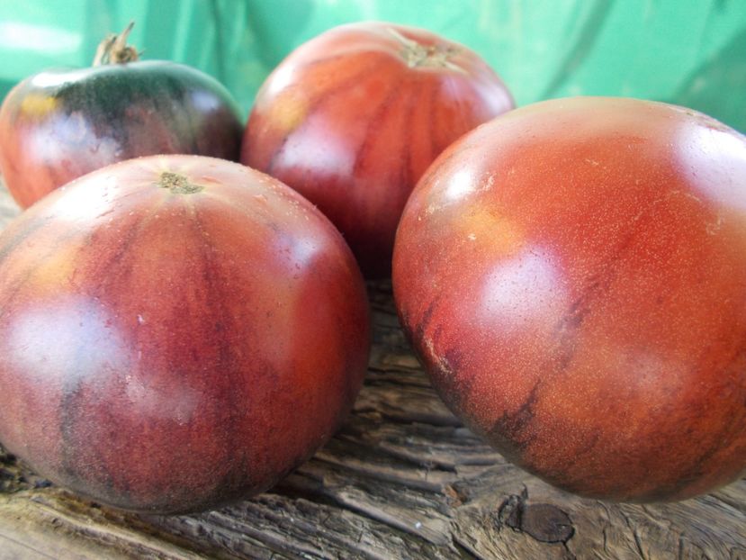  - SEMINTE ROSII - T 896 BLACK SLICES