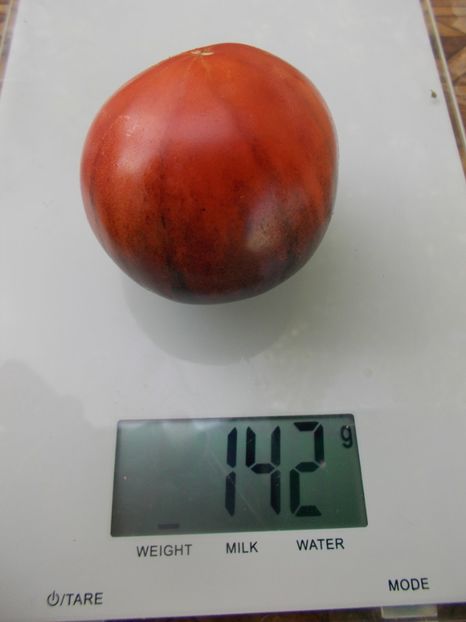  - SEMINTE ROSII - T 896 BLACK SLICES