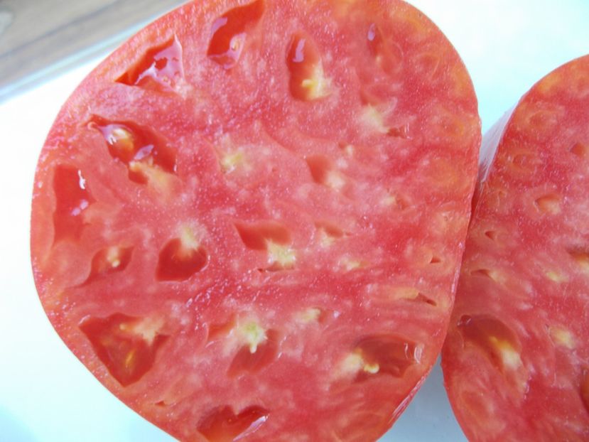  - SEMINTE ROSII - T 960 MIRACLE OF THE UKRAINIAN LAND