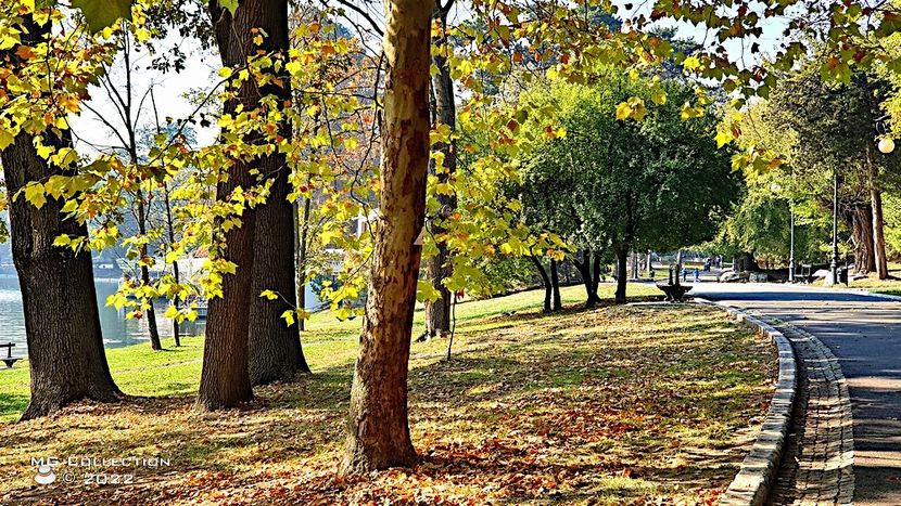 P28 - PARCUL ROMANESCU