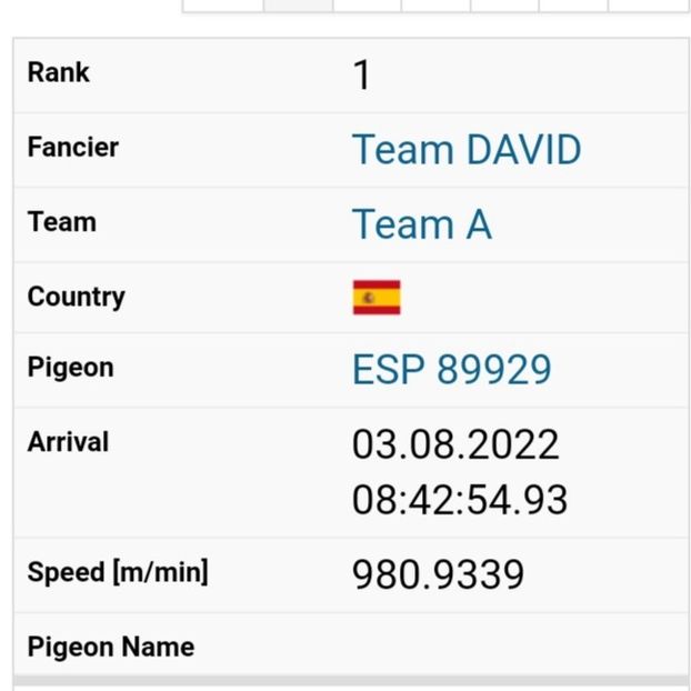Vicov - Loc 1-150 Km - Porumbei columbodroame