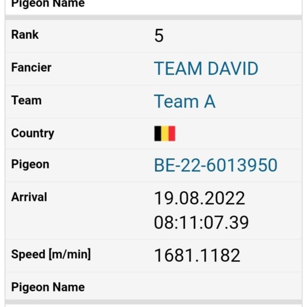 Autostrada - Loc 5 -170 Km - Porumbei columbodroame