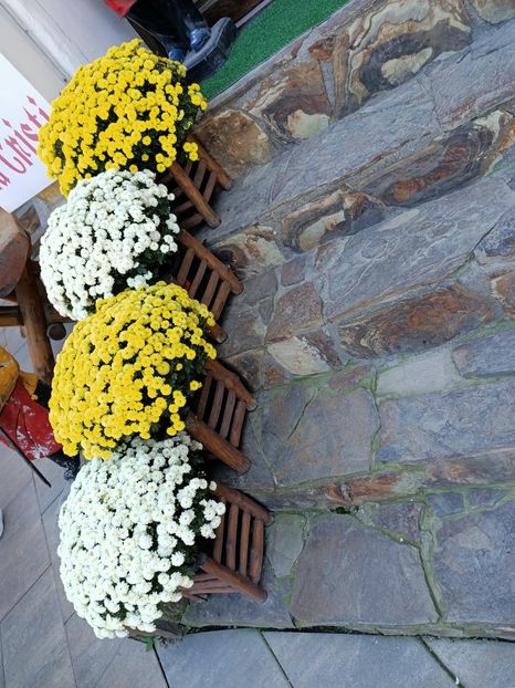 Img.2022.08.20 - Bran - Brașov