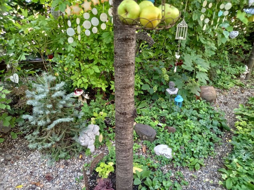  - Grădina 2022 continuare 3