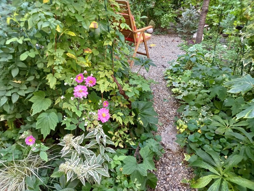  - Grădina 2022 continuare 3