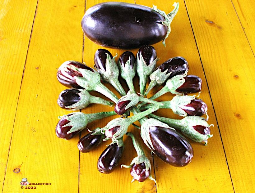 Baby Eggplant - LEGUME-VEGS