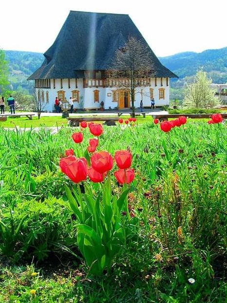  - Romania