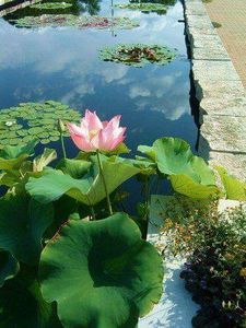 34702260_1948126735477244_8800788804441997312_n-1 - imagini