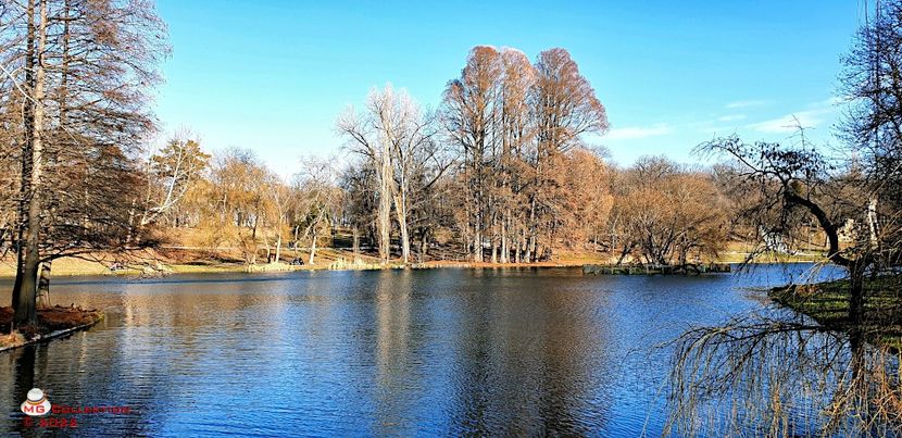 Park 1 - PARCUL ROMANESCU