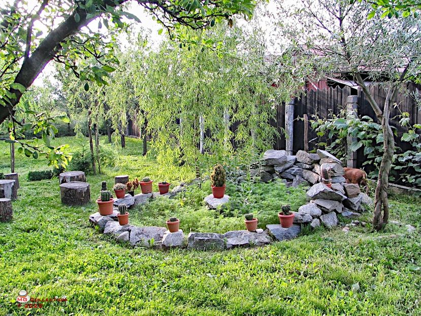 Cactus garden - PEISAJE-PARCURI-PARKS-LANDSCAPES